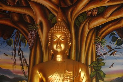 Socha Buddhy ve Wat Dab Phai, Chiang Mai. Thajsko od Unbekannt