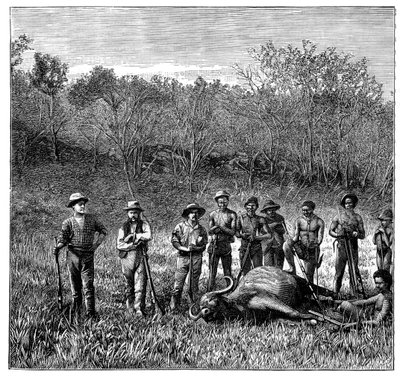 Lovci buvolů v Transvaalu, Jižní Afrika, c1890 od Unbekannt