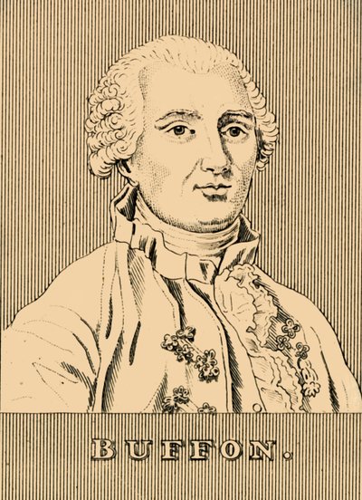 Buffon, 1707-1788, 1830. od Unbekannt