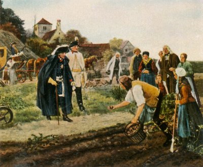 Budování země po sedmileté válce: král celkově, 1936. od Unbekannt