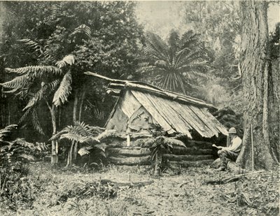 Bush Hut, Dandenong Ranges, Victoria, 1901. od Unbekannt