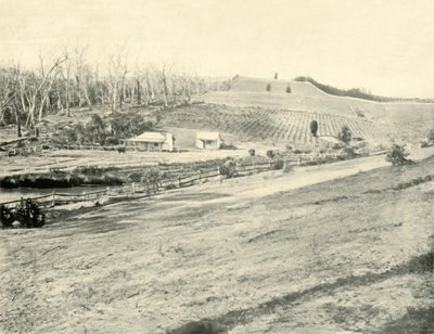 Bush Workmans Home, Gippsland, Victoria, 1901. od Unbekannt