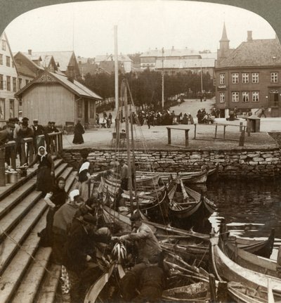 Nákup ryb v rušném arktickém obchodním přístavu, Tromsoe 69° 38 N. Lat., Severní Norsko, 1902. od Unbekannt