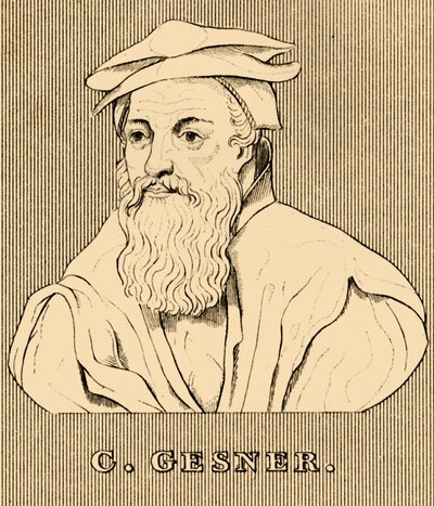 C. Gesner, 1516-1565, 1830. od Unbekannt