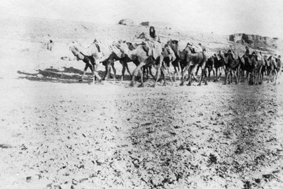 Velbloudí vlak, Mosul, Mezopotámie, 1918 od Unbekannt