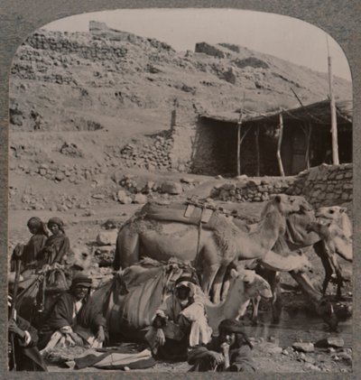 Velbloudí vlak z Jerash, zalévání u fontány Elisha, c1900 od Unbekannt