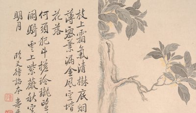 Cassia Tree. od Unbekannt
