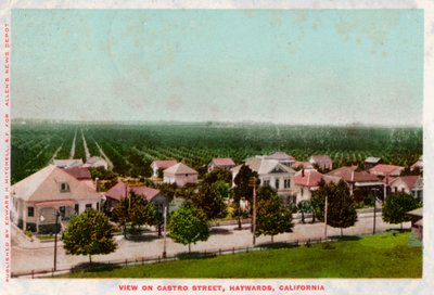 Castro Street, Hayward, Kalifornie, 1905 od Unbekannt