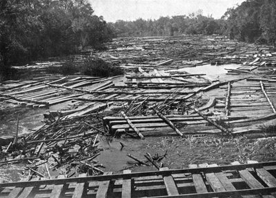 Cedrové klády na řece Tebicuary-Guazu plovoucí u železničního mostu, Paraguay, 1911 od Unbekannt