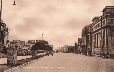 Central Avenue, Kalkata, c1900 od Unbekannt