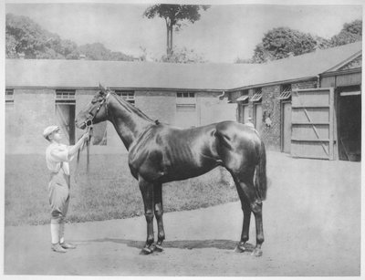 Chandon, 1911 od Unbekannt