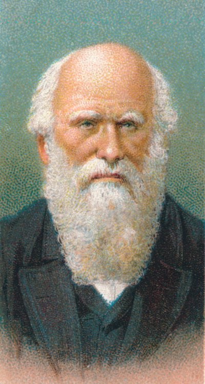 Charles Darwin 1809-1882, britský přírodovědec, 1924 od Unbekannt