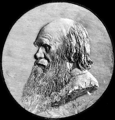Charles Darwin, 1882 od Unbekannt