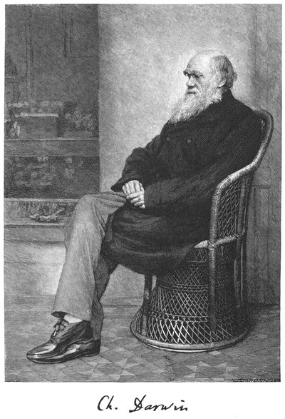 Charles Darwin, anglický přírodovědec, 1883 od Unbekannt