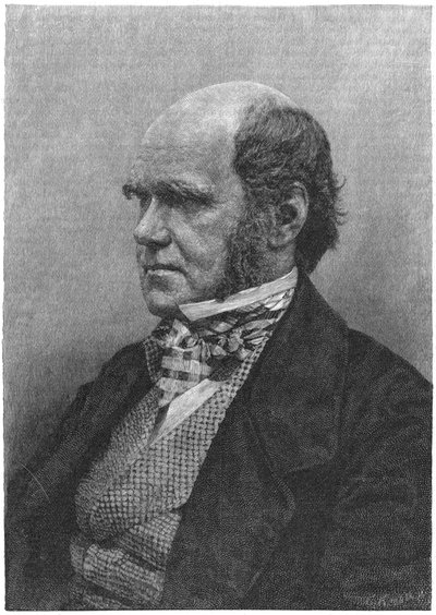 Charles Darwin, anglický přírodovědec, 1884 od Unbekannt