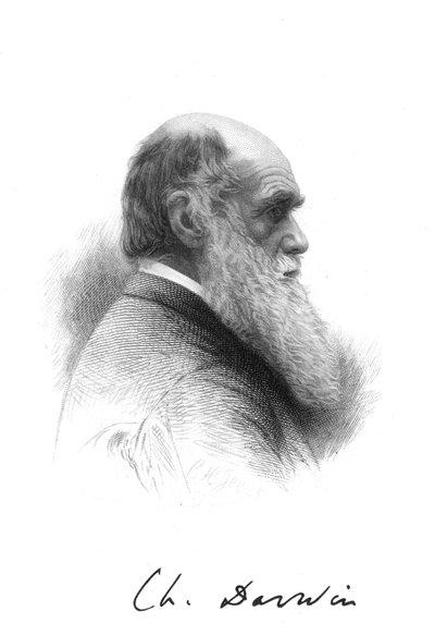 Charles Darwin, anglický přírodovědec, c1880 od Unbekannt