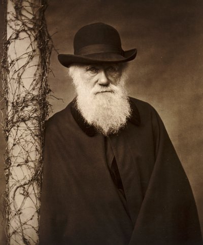 Charles Darwin ve svém domě v Down House, Kent, c1880 od Unbekannt