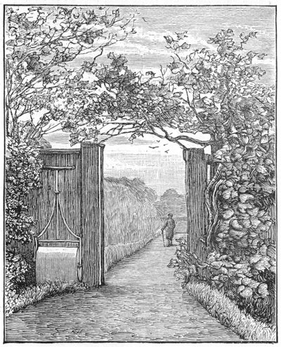 Charles Darwin na procházce pískem v Down House, c1870 1887 od Unbekannt