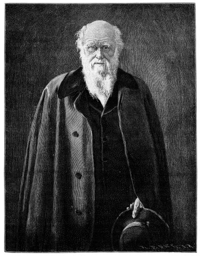 Charles Darwin, proslulý přírodovědec a myslitel, 1900 od Unbekannt