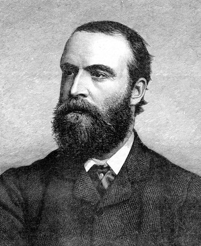 Charles Stuart Parnell, irský politik z 19. století, c1874-1891 od Unbekannt