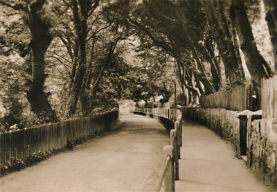 Chine Avenue, Shanklin, I.W., c1920. od Unbekannt
