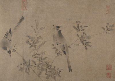Čínské Bulbuls na kvetoucí Cherry-Apple. od Unbekannt