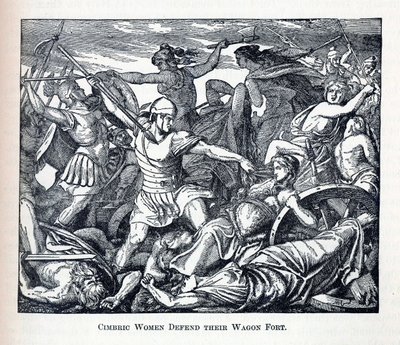 Cimbrické ženy brání svou vozovou pevnost, 1882 od Unbekannt
