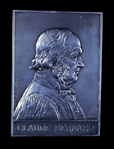 Claude Bernard, francouzský fyziolog 19. století, 1913 od Unbekannt