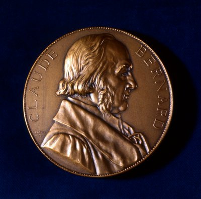 Claude Bernard, francouzský fyziolog, 19. století od Unbekannt