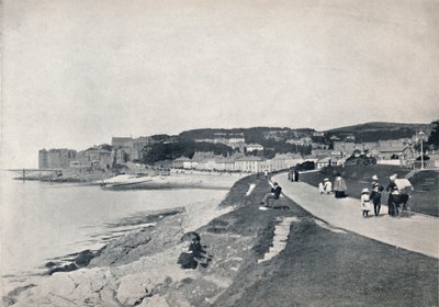 Clevedon - The Green Beach, 1895 od Unbekannt