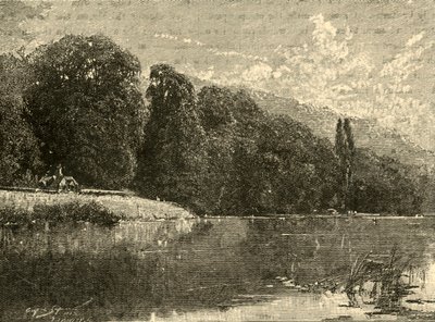 Cliefden Woods, 1898. od Unbekannt