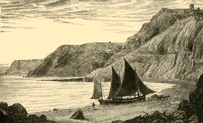 Cliffs near Whitby, 1898. od Unbekannt