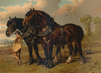 Clydesdale Stallion & Mare, c1879. od Unbekannt