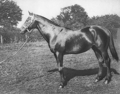 Běžné, 19. století, 1911 od Unbekannt