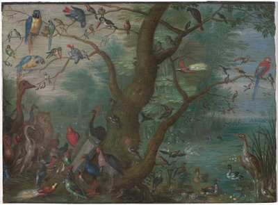 Koncert ptáků, 16601670. od Unbekannt