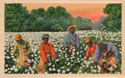 Cotton Picking, Augusta, Georgia, 1943 od Unbekannt