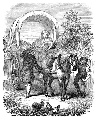 Country přepravní vůz s kapotou, c1882 od Unbekannt