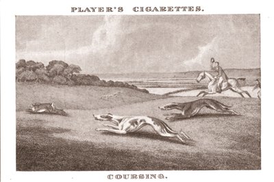 Coursing-11, 1924. od Unbekannt