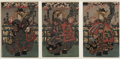 Kurtizány Shigeoka, Sugatano a Hanamurasaki. Triptych. Ze série Krásky Yoshiw od Unbekannt