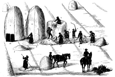 Střídání plodin: mlácení žitné trávy na semeno, 1855 od Unbekannt