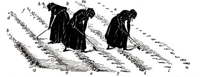 Střídání plodin: ženy prořezávají tuřín, 1855 od Unbekannt