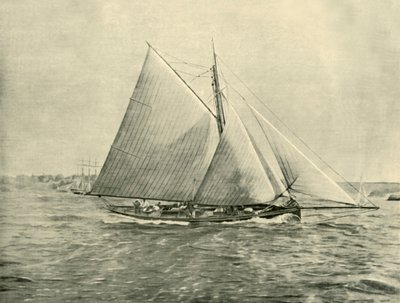 Plavba v Port Jackson, 1901. od Unbekannt