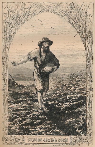 Crusoe setí kukuřice, c1870 od Unbekannt