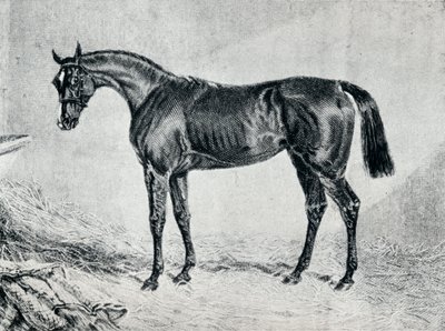 Cyprián, 19. století, 1911 od Unbekannt