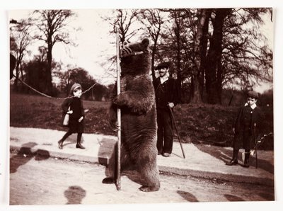 Tančící medvěd, c 1905 od Unbekannt