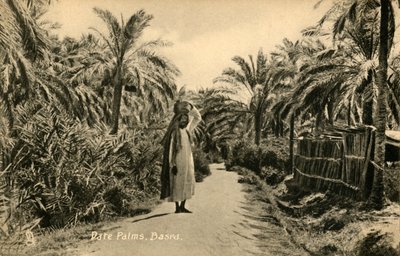 Datlovník, Basra, c1918-c1939. od Unbekannt