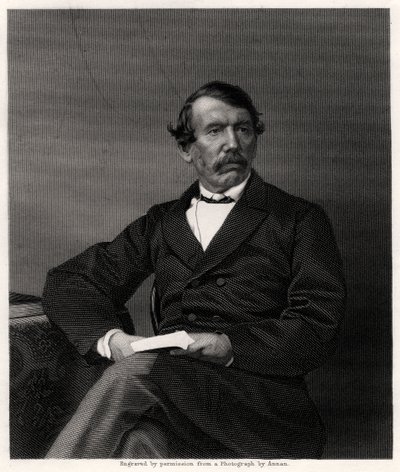David Livingstone, skotský misionář a africký cestovatel, 19. století od Unbekannt