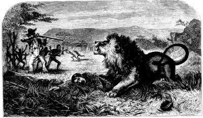 David Livingstone, zachráněný před lvem Mebalwem, rodilým učitelem, 1857 od Unbekannt