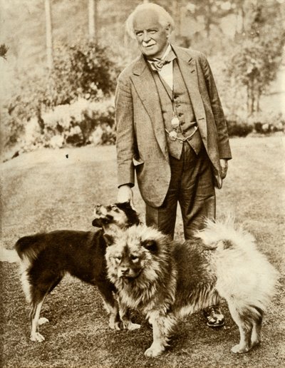 David Lloyd George, 1935. od Unbekannt