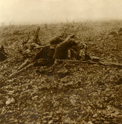 Mrtvý voják na kopci 304, po bitvě u Verdunu, severní Francie, 1916 od Unbekannt